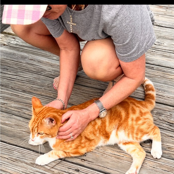 Stance socks 🧦 brand new - Picture 5 of 16